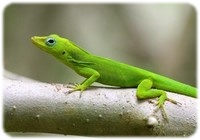 IMG_6643M.jpg