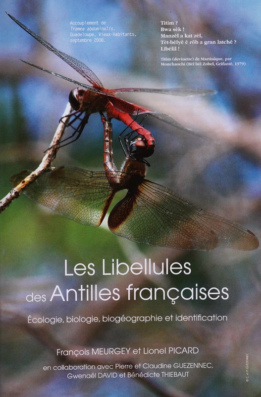 Première page du livre Les Libellules des Antilles Françaises  de François Meurgey et de Lionel Picard