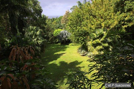 Vue sur le Jardin de Beauvallon depuis la terrasse Mango