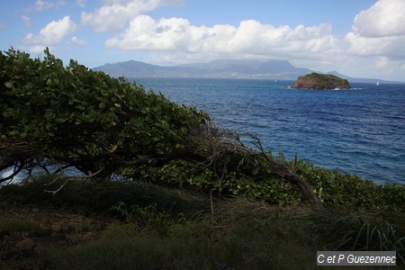 Une vue sur l'îlet le Pâté et le sud Basse-Terre